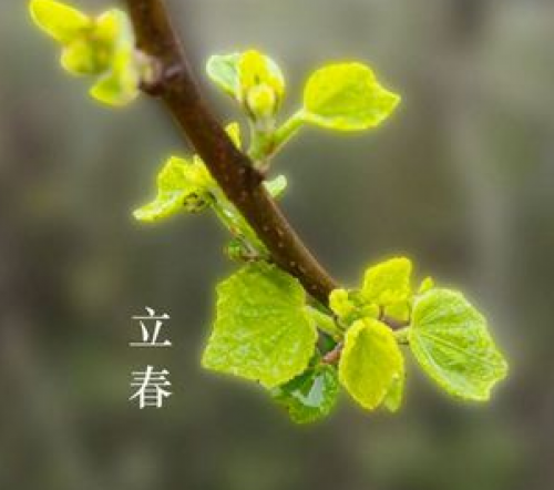 今日立春 | 养生秘诀，请收好！
