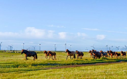 爱上内蒙古旅游，爱上辉腾锡勒草原！